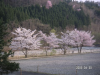 s_pict0006_thumb.png